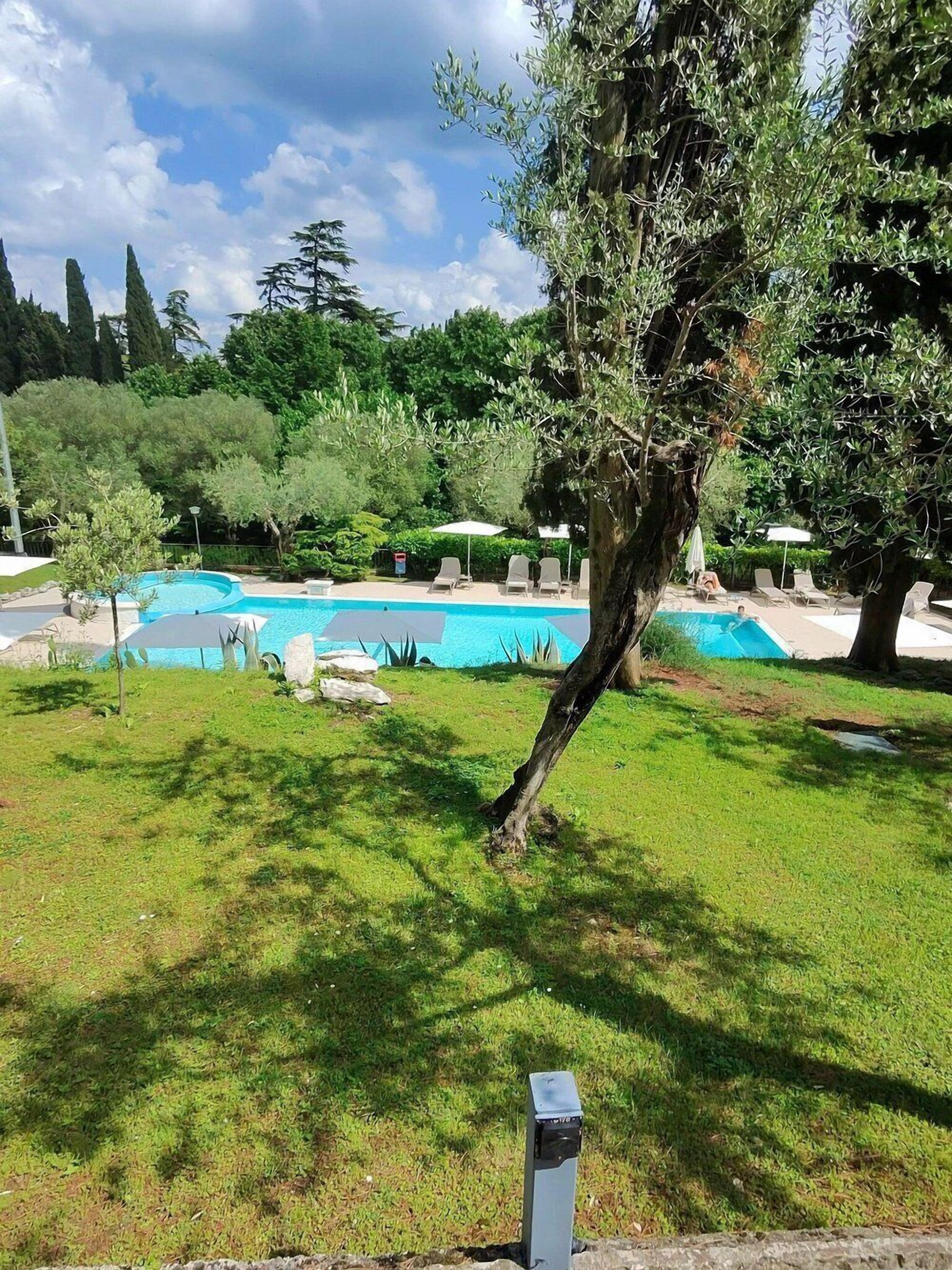 A swimming pool with lounge chairs and umbrellas, surrounded by greenery and trees.