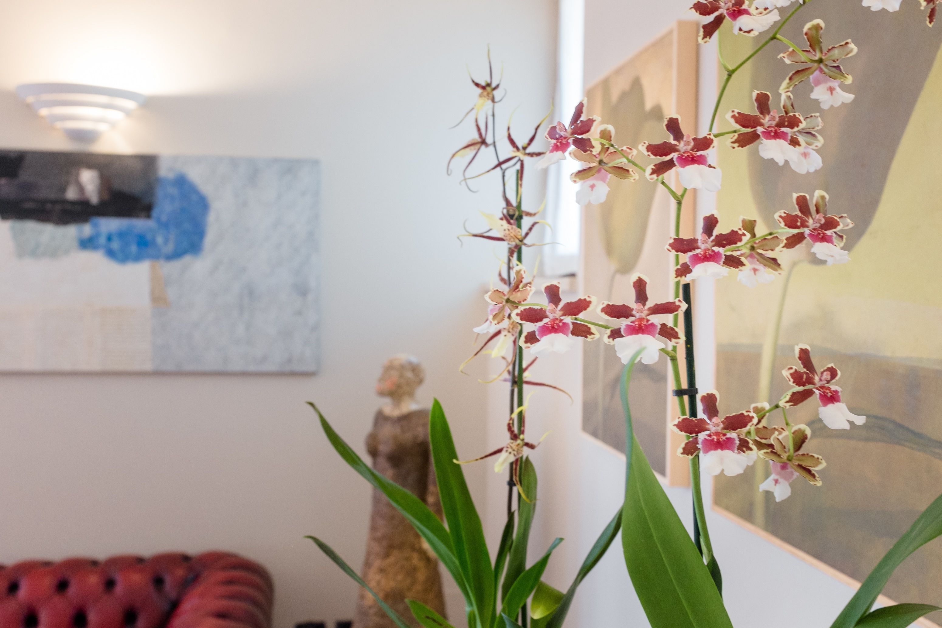 A room with a sofa, a potted orchid plant, and a painting on the wall.