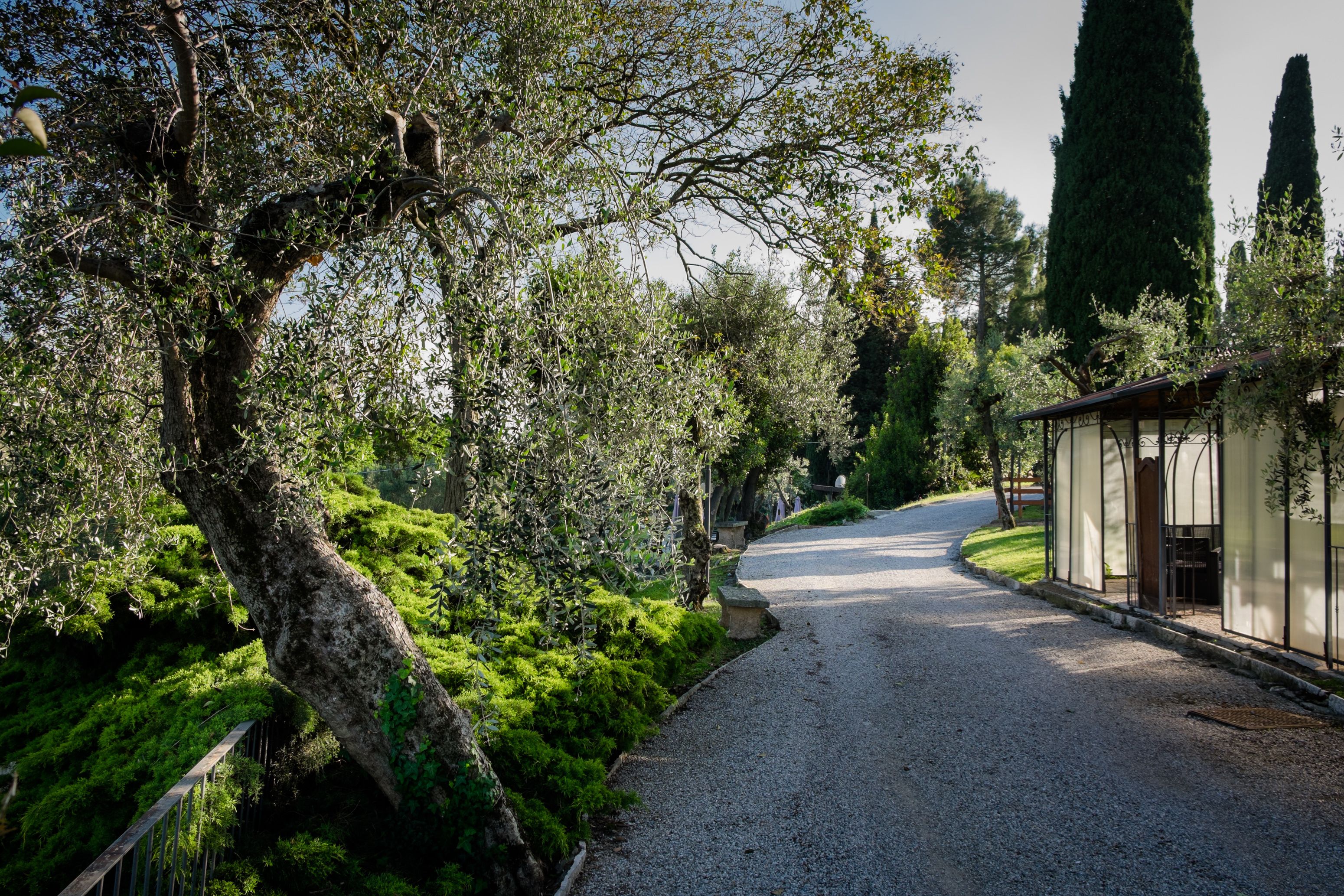 Un sendero de grava bordeado por abundante vegetación y altos árboles, que conduce a un edificio con fachada de vidrio.