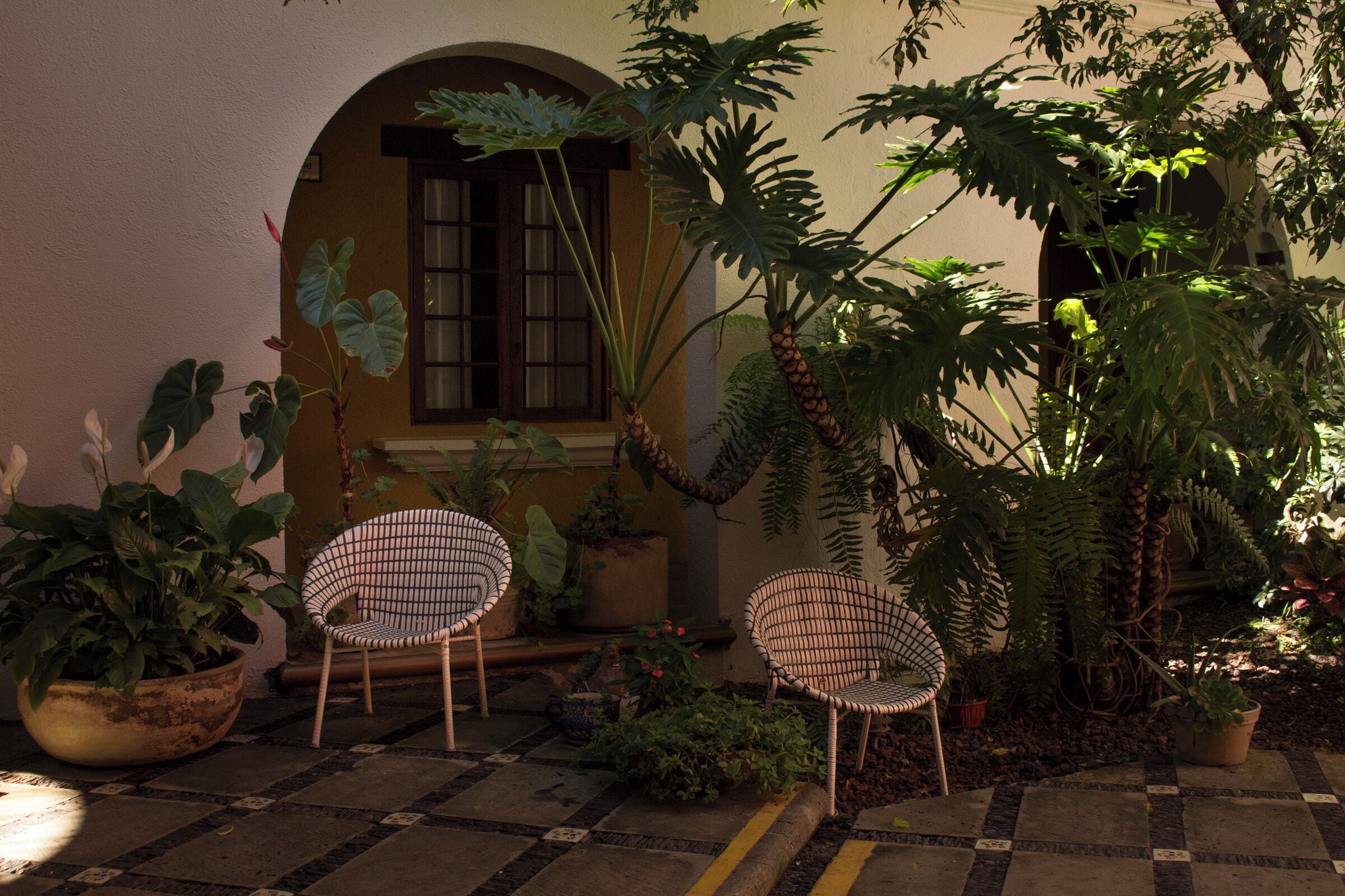 Foto - Hotel Trébol