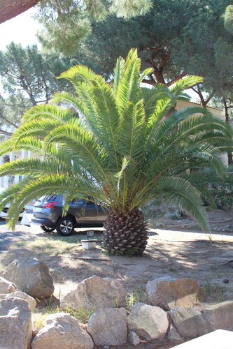 Résidence Tramariccia