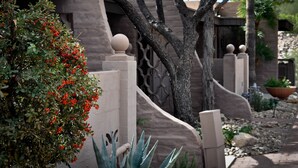 A landscaped area with a tree, a bush with red berries, and a stone wall. - Mission Hill Casitas (Tucson)