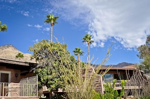 A house with a balcony, surrounded by palm trees and cacti, with a mountain in the background.