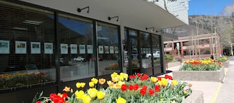 Frias Properties of Aspen