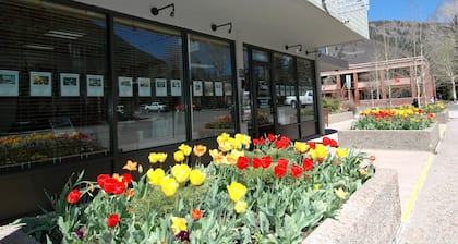 Frias Properties of Aspen