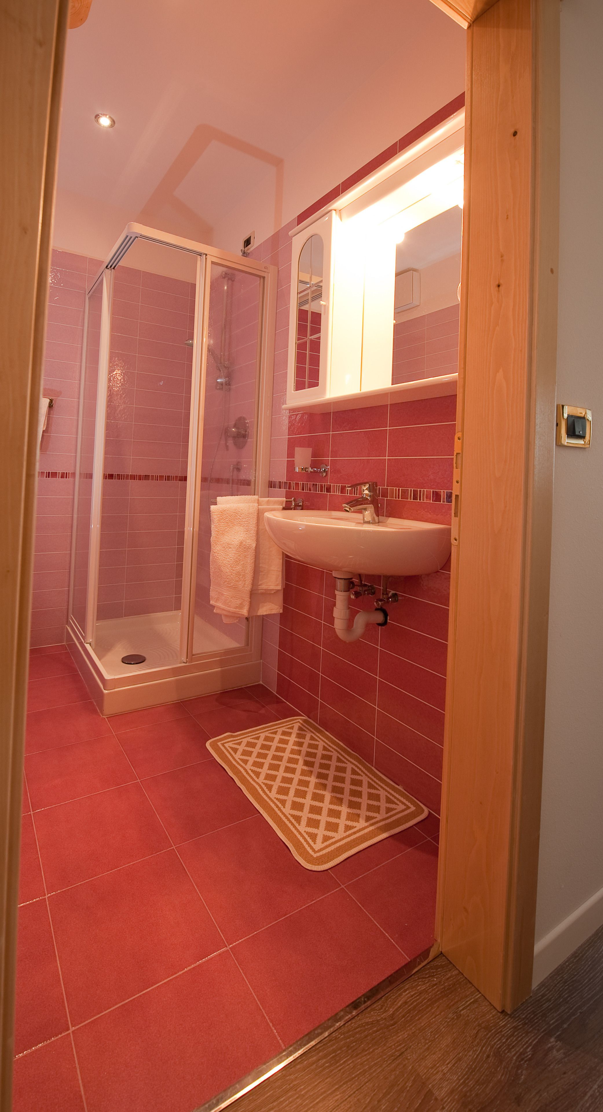 Un baño con ducha separada por vidrio, un lavamanos y un espejo.