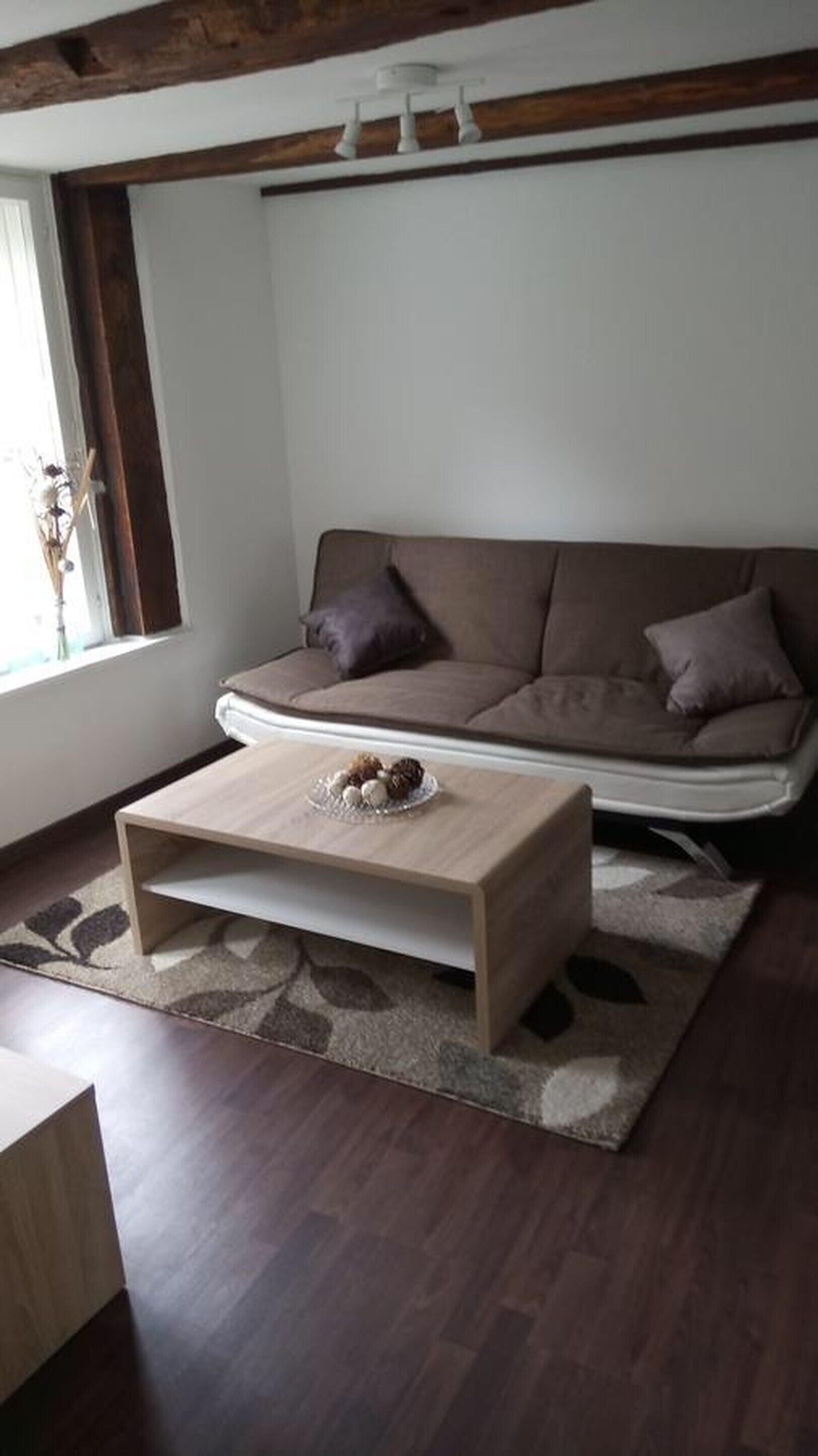 Una sala de estar moderna con un sofá marrón, una mesa de centro de madera y un tapete estampado.