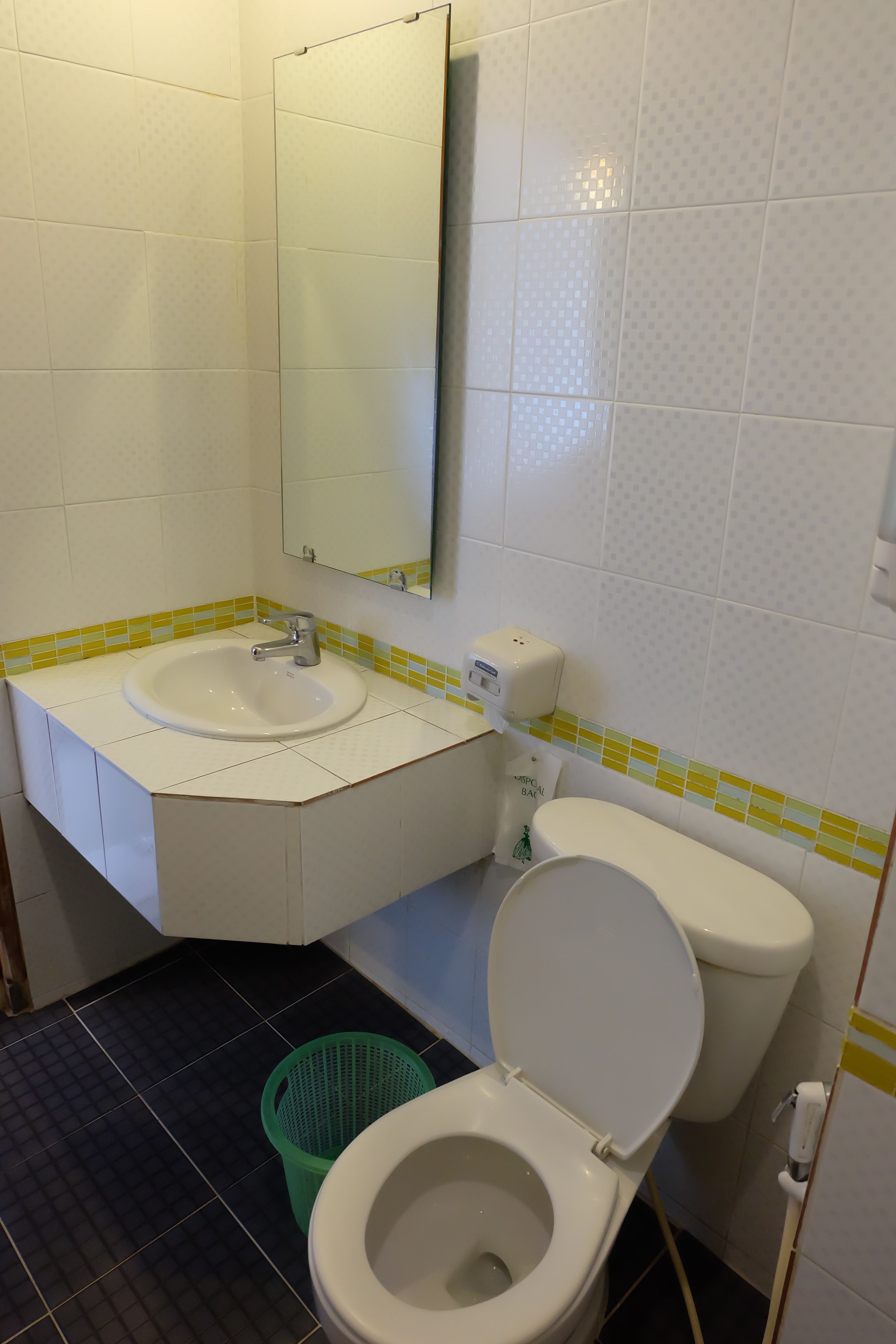A bathroom with a white sink, a mirror, a toilet, and a green trash bin.