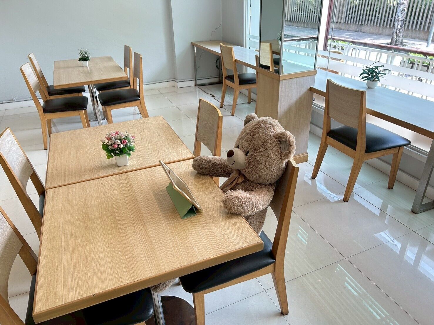 32-inch LCD TV with satellite channels, TV