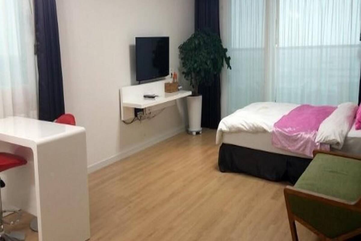 Hotellihuone, jossa on sänky, työpöytä, televisio ja ruukussa oleva kasvi.