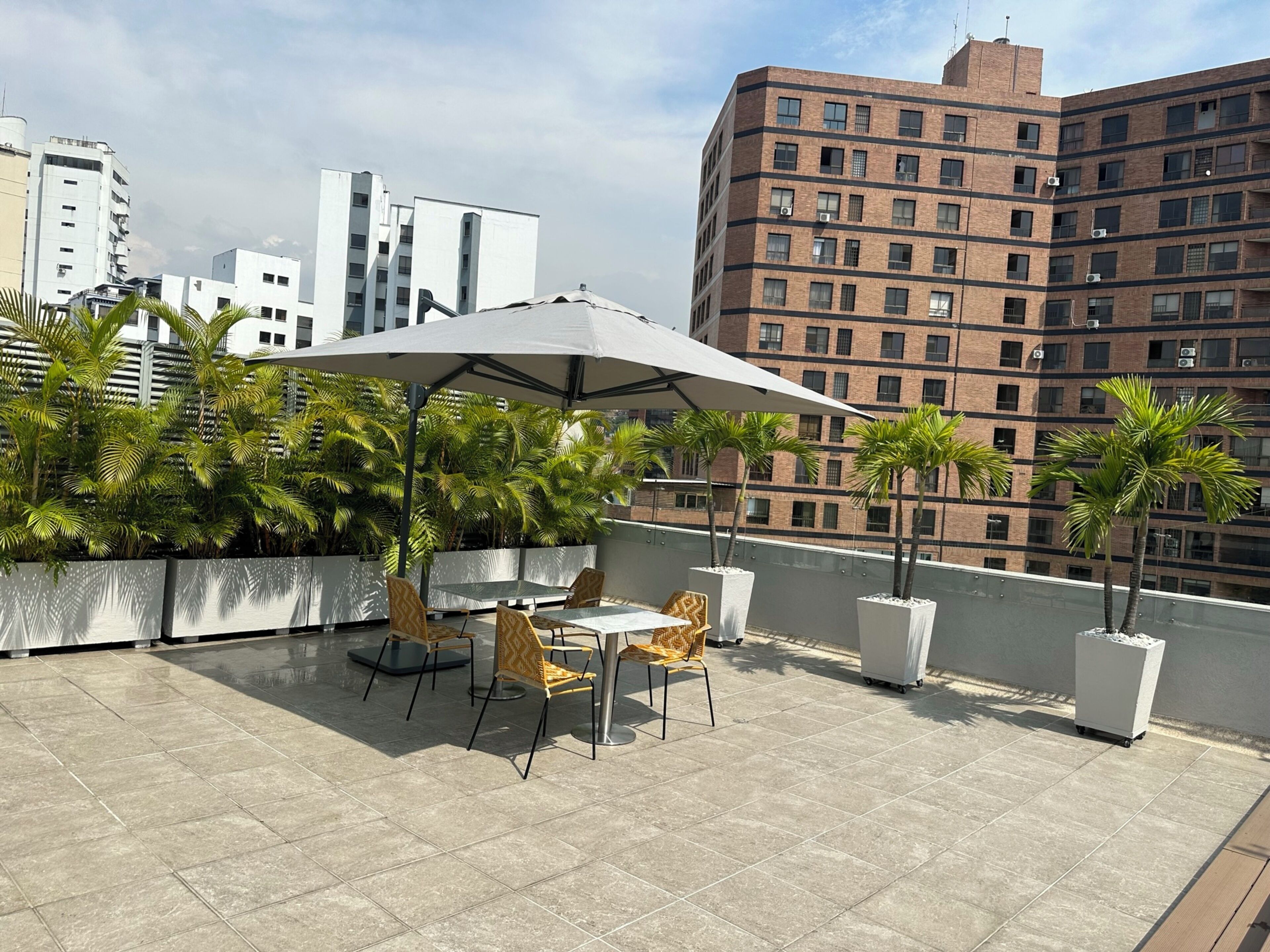A rooftop terrace with outdoor seating, palm trees, and a view of surrounding buildings.