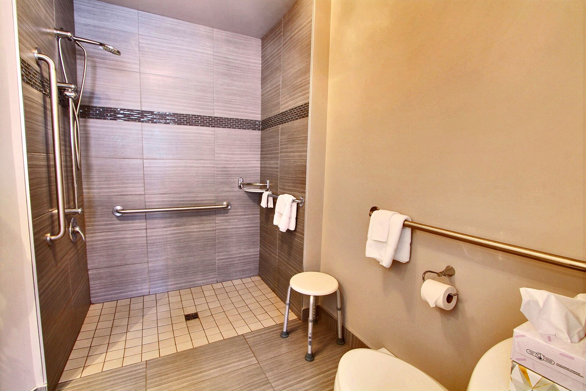 Une salle de bain équipée d’une douche, de barres d’appui, de toilettes et d’un lavabo.