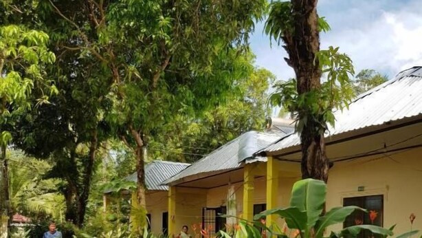 A pathway leading to a building with a corrugated metal roof, surrounded by lush greenery and flowering plants. - Sunny Resort (Phu Quoc)