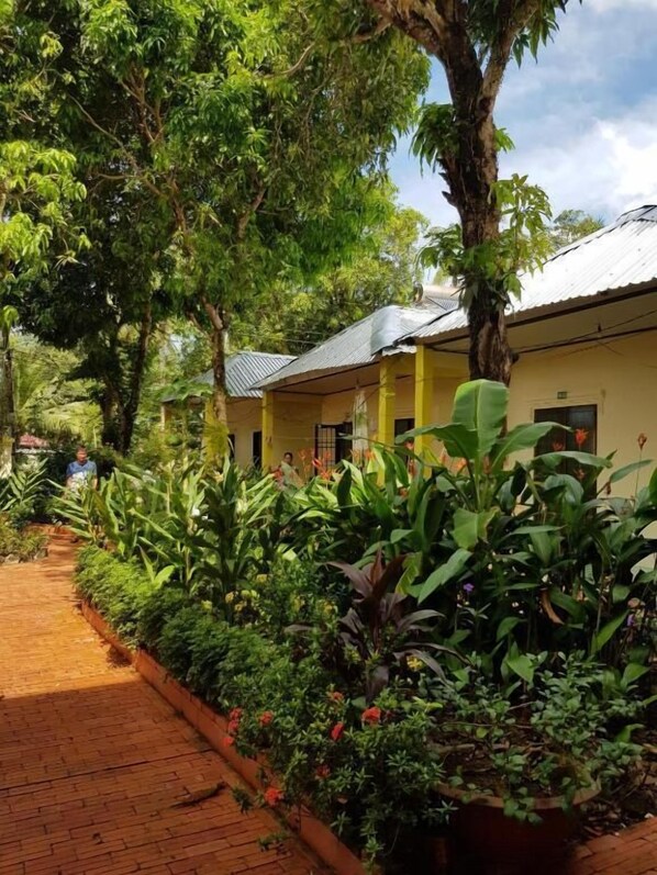 Property grounds - Sunny Resort (Phu Quoc)