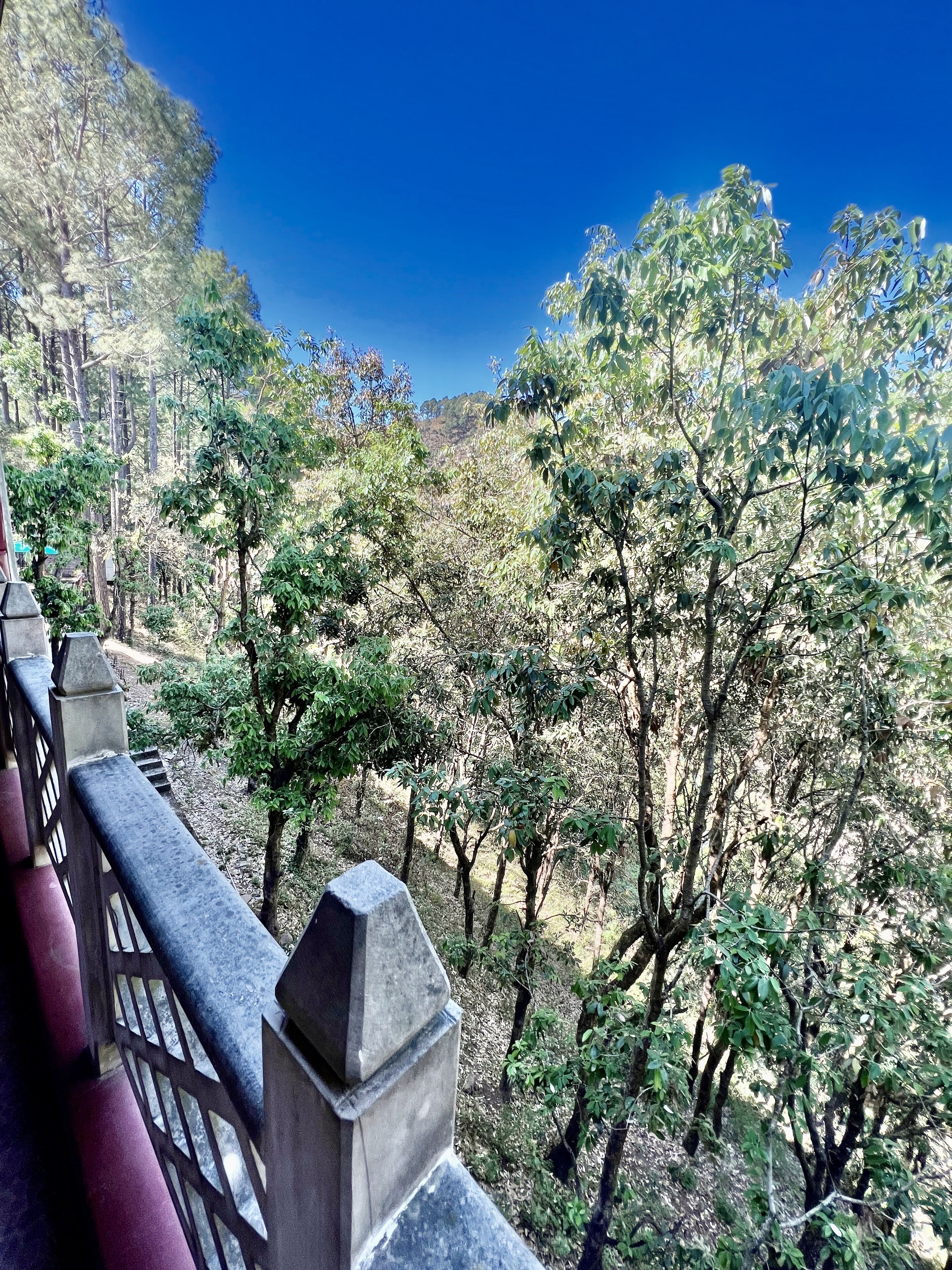 A stone balustrade overlooking a forested area with a clear blue sky.