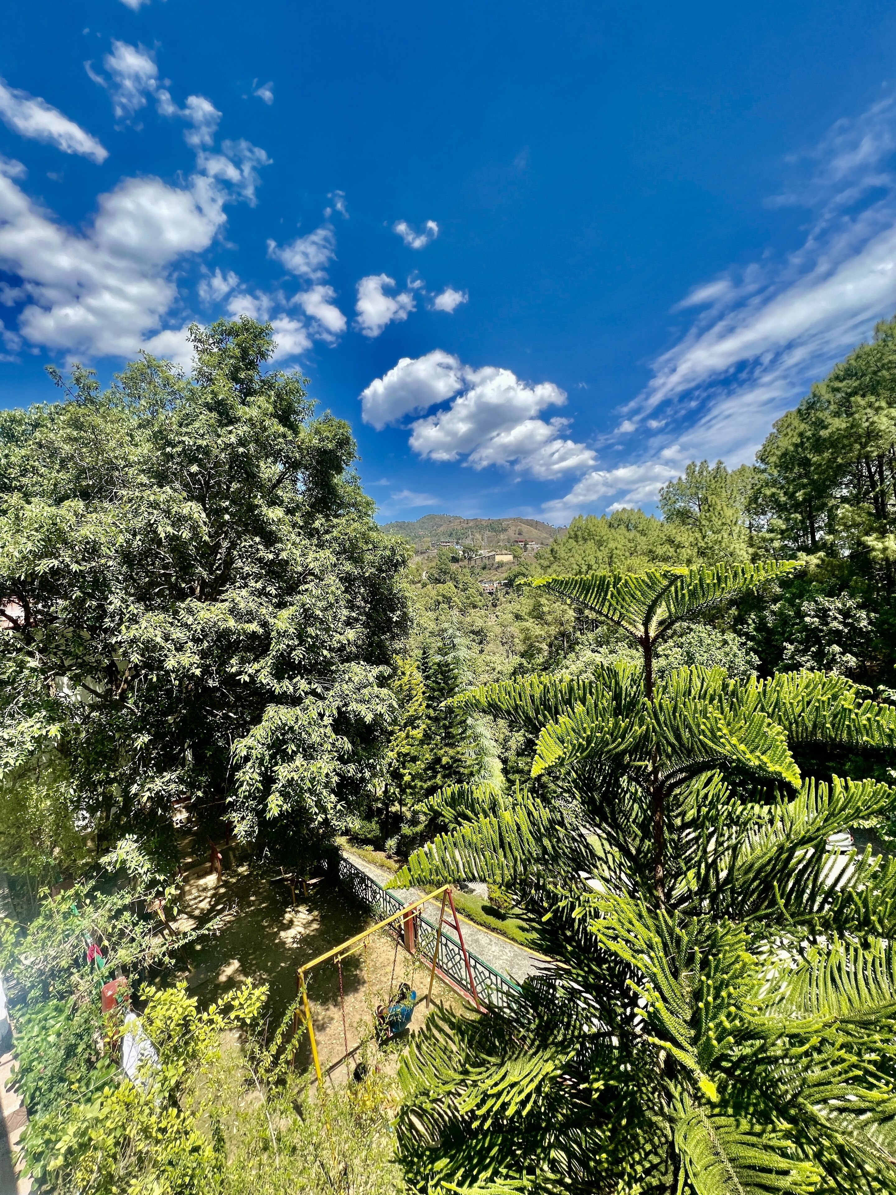 Paisagem verde exuberante com folhagem densa e céu azul límpido.