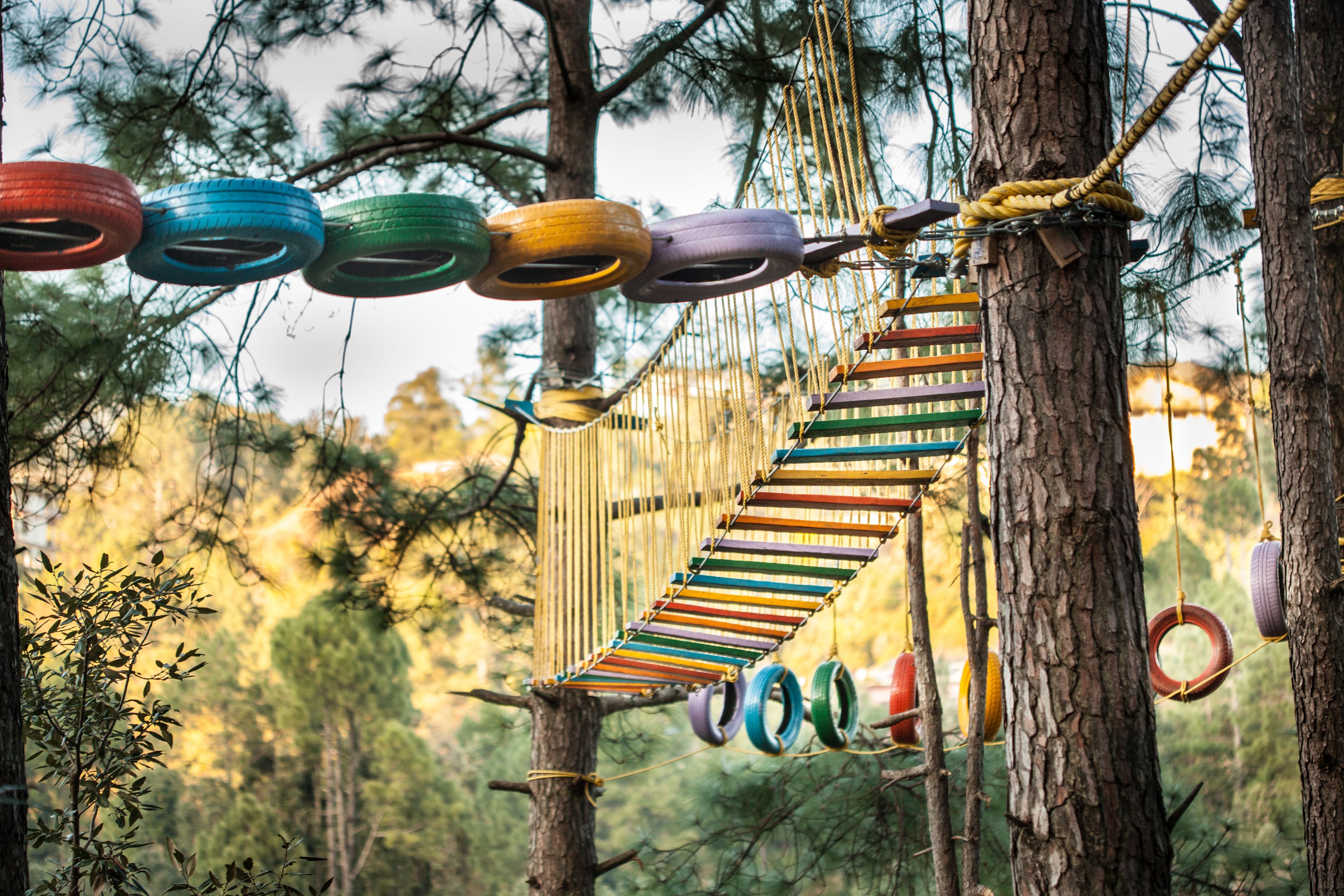 Un puente colgante entre árboles con neumáticos de colores que sirven de escalones.