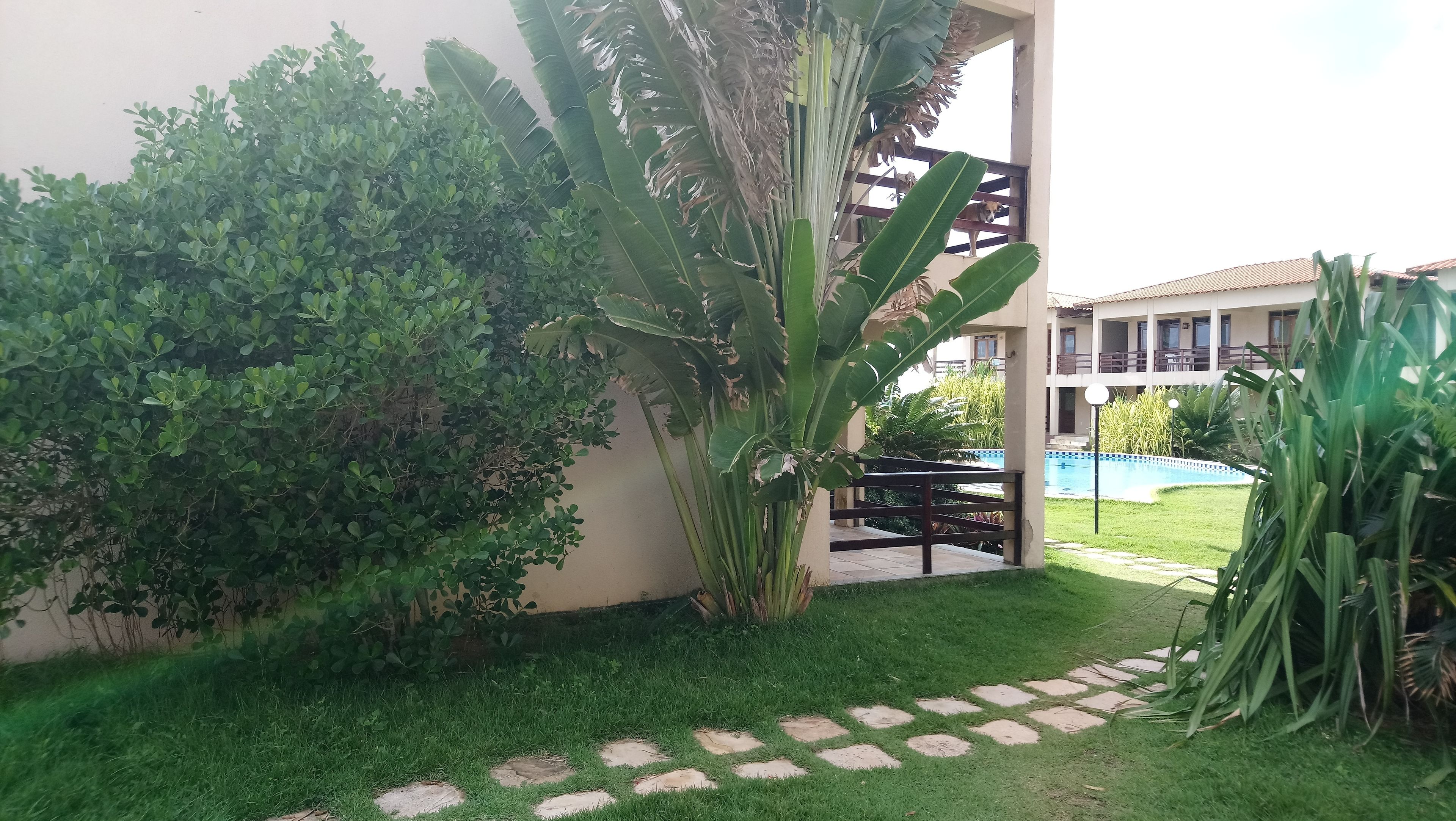 Entrada interior