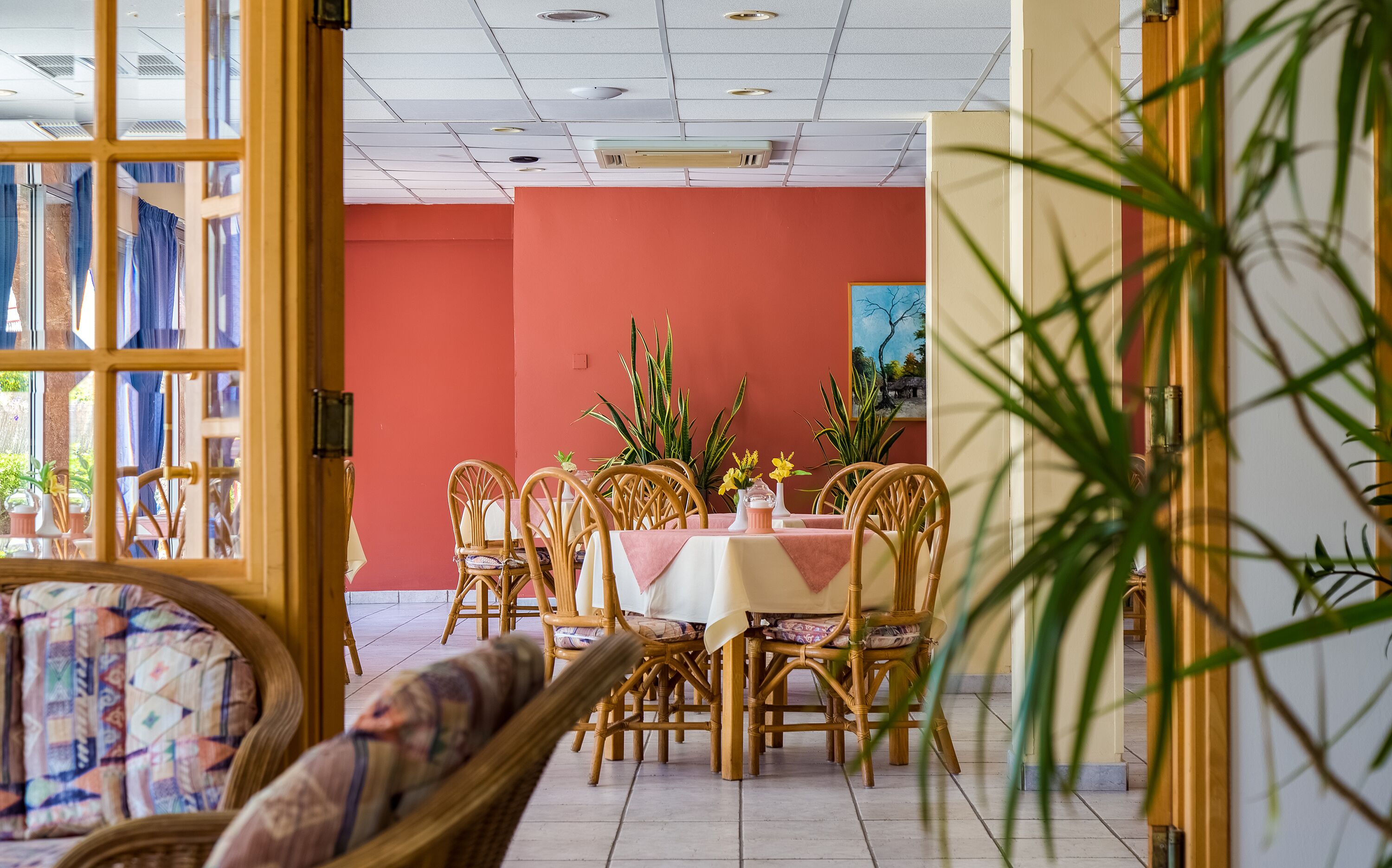 Un comedor con sillas de mimbre y una mesa cubierta con mantel blanco. Hay plantas en macetas y un cuadro en la pared.