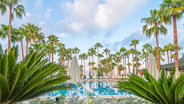 A pool surrounded by palm trees and a clear sky. - Meryan Hotel - All Inclusive (Alanya)