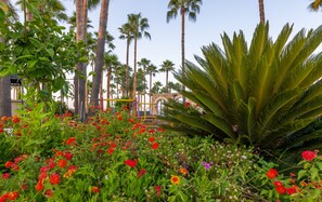 Garden - Meryan Hotel - All Inclusive (Alanya)