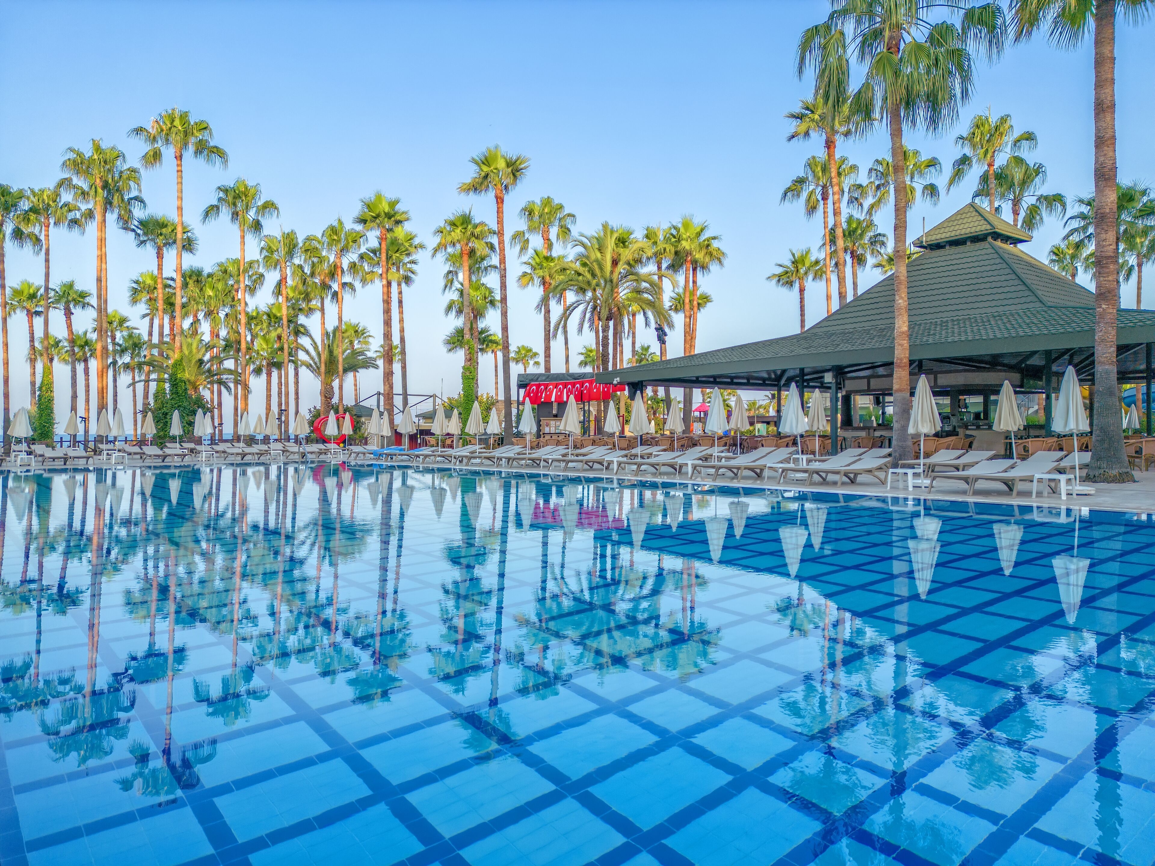 A swimming pool with lounge chairs and umbrellas, surrounded by palm trees.