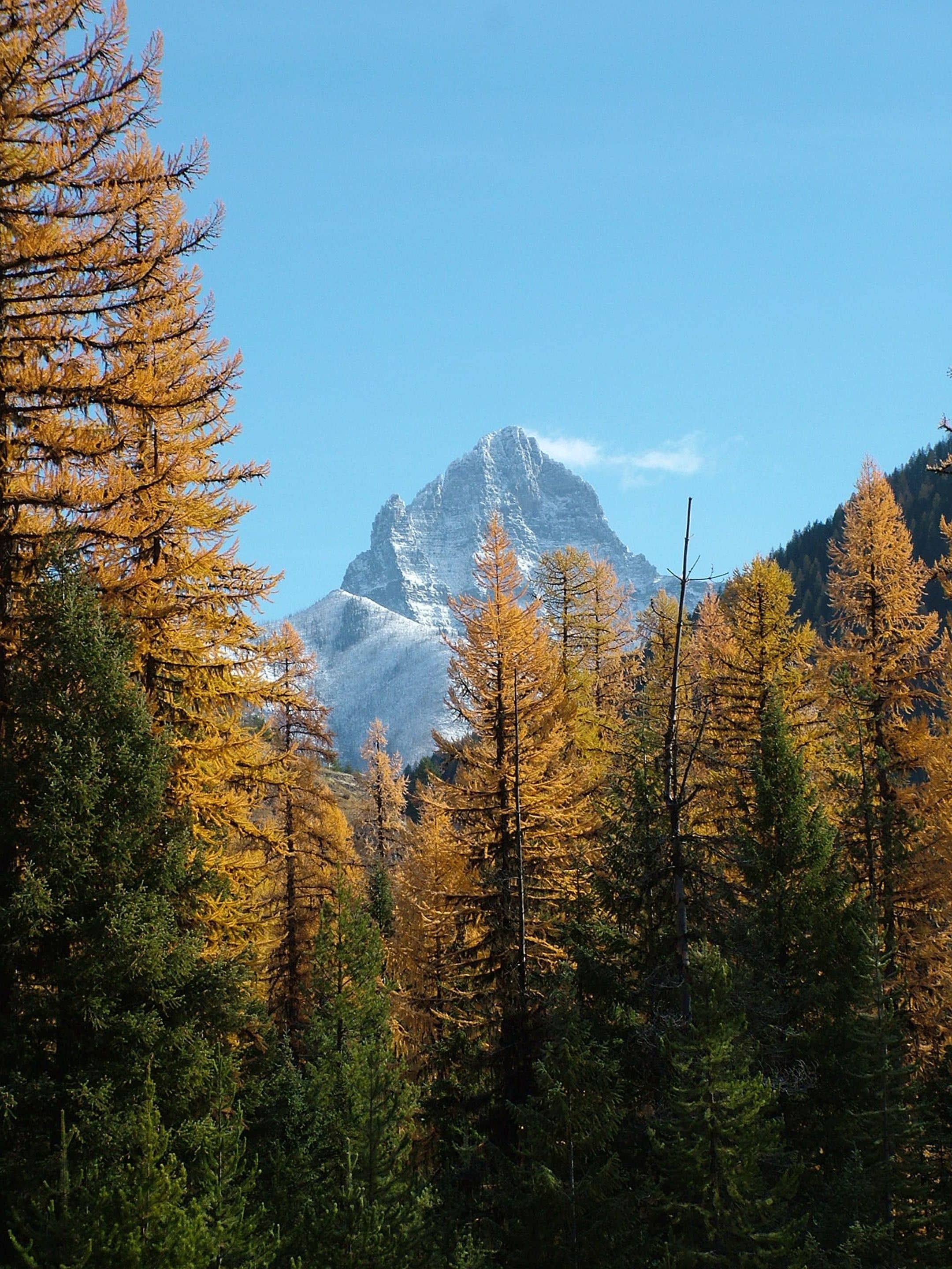 A mountainous landscape with a prominent peak, surrounded by autumn-colored trees.