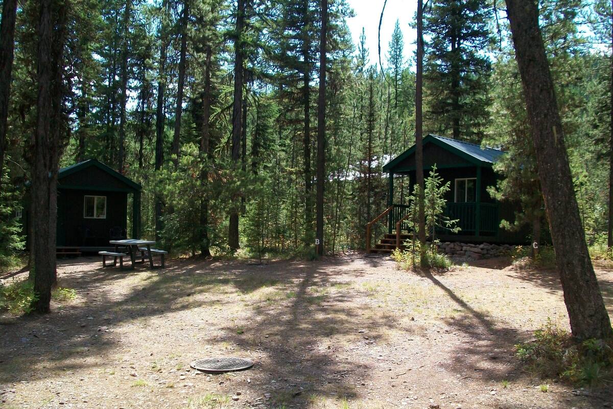 A forested campsite with two cabins, picnic tables, and a manhole cover.