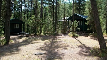 Dry Cabin | View from room