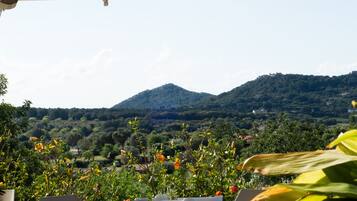 Spécialités Cuisine méditerranéenne, restauration en plein air