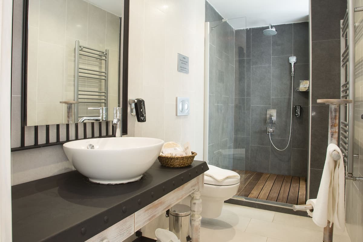 shower, free toiletries, hair dryer, slippers