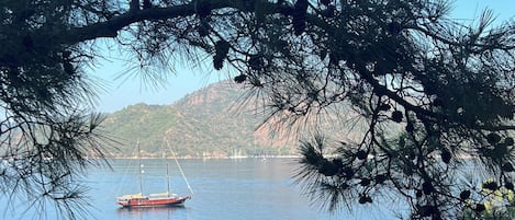 جولات سياحية بيئية