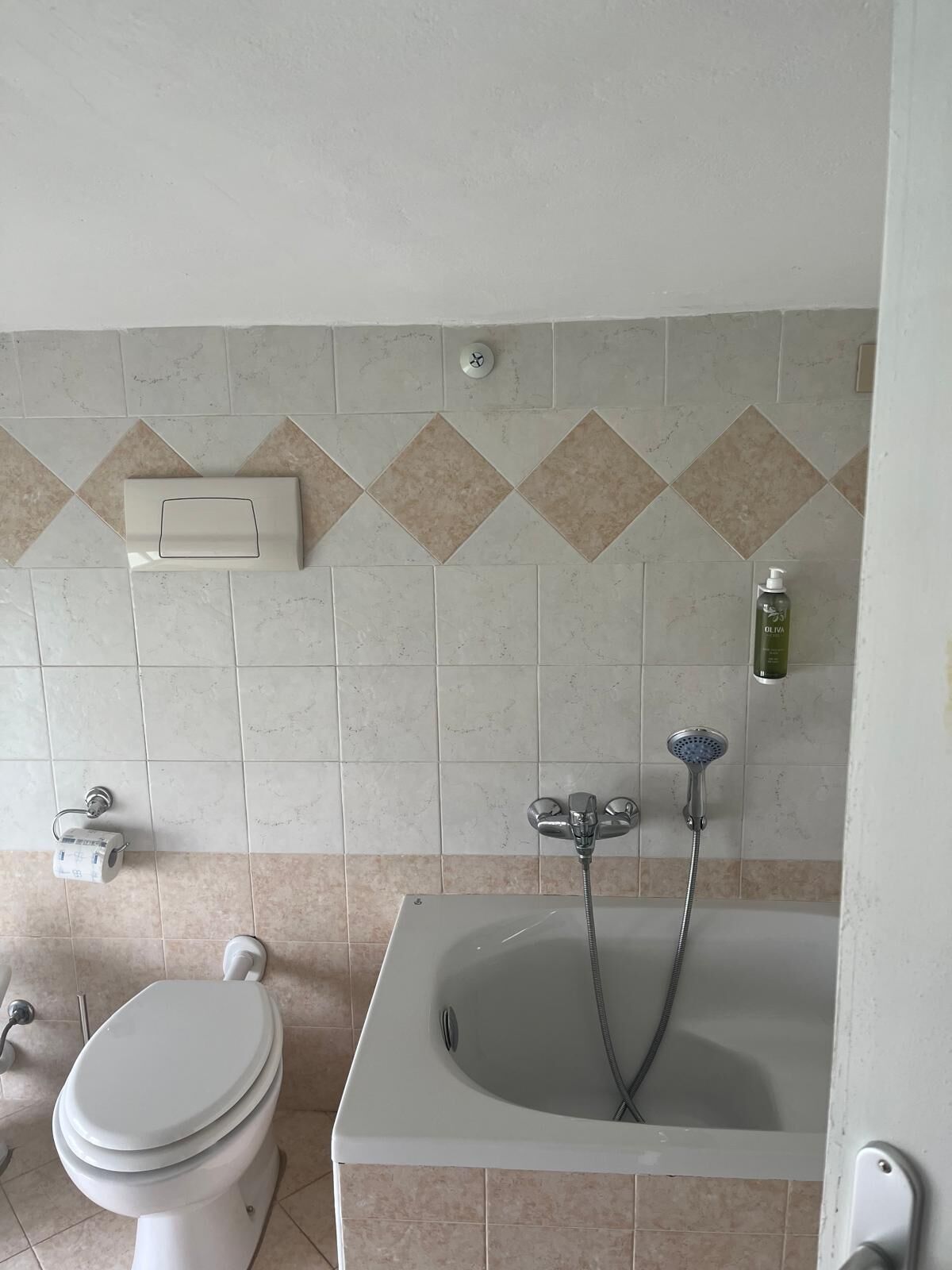 A bathroom with a toilet, a bathtub, and a shower.