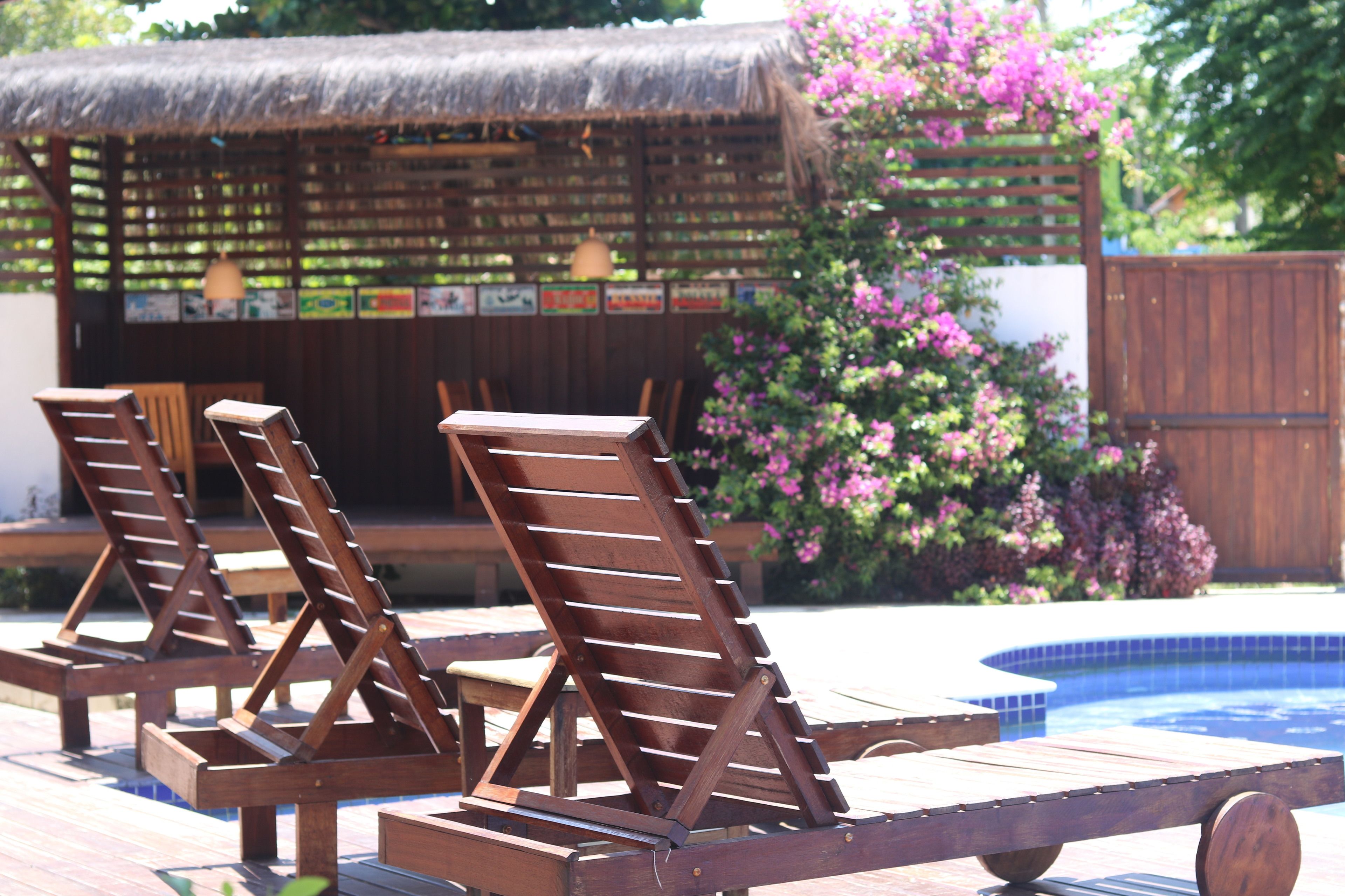 outdoor pool, pool loungers