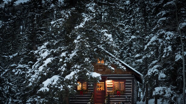 A log cabin with a red door, surrounded by snow-covered trees. - Pioneer Guest Cabins (Crested Butte)