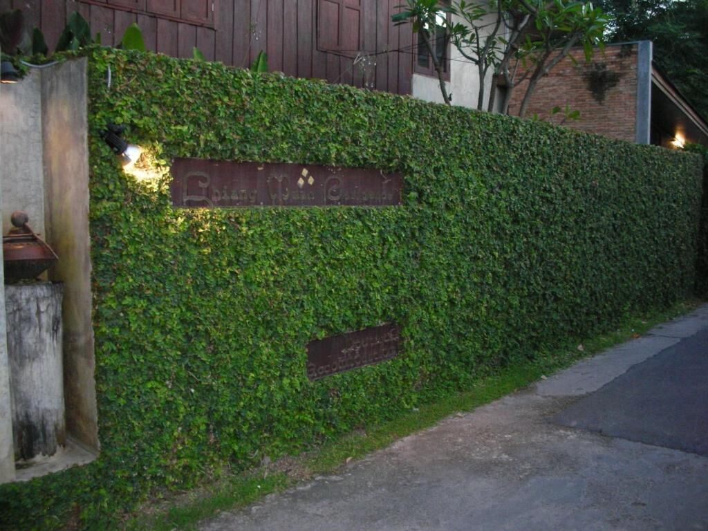 Un muro de seto con una placa y una lámpara.