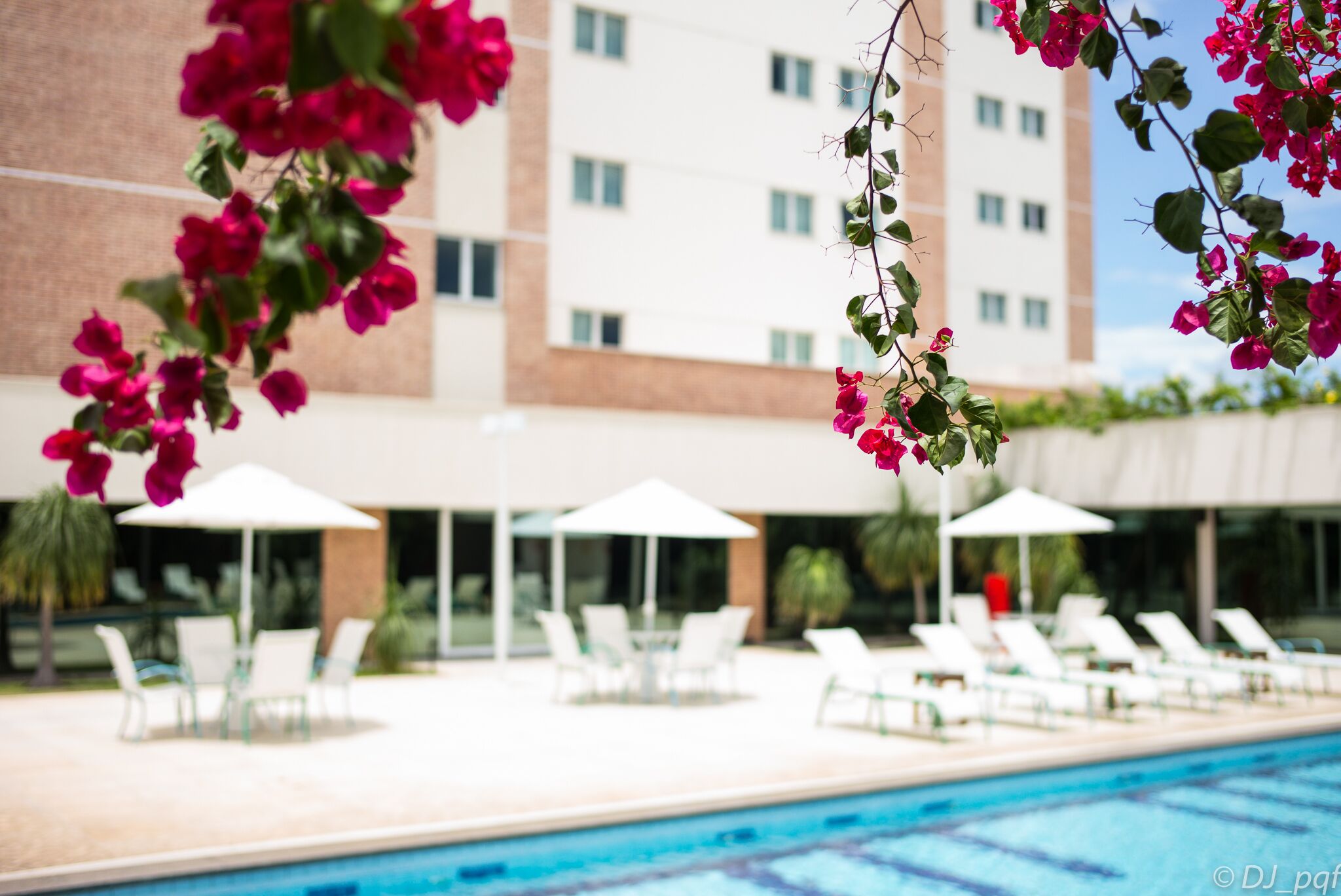 Uma área de piscina com espreguiçadeiras e guarda-sóis, um prédio com várias janelas ao fundo, e flores cor-de-rosa penduradas acima.