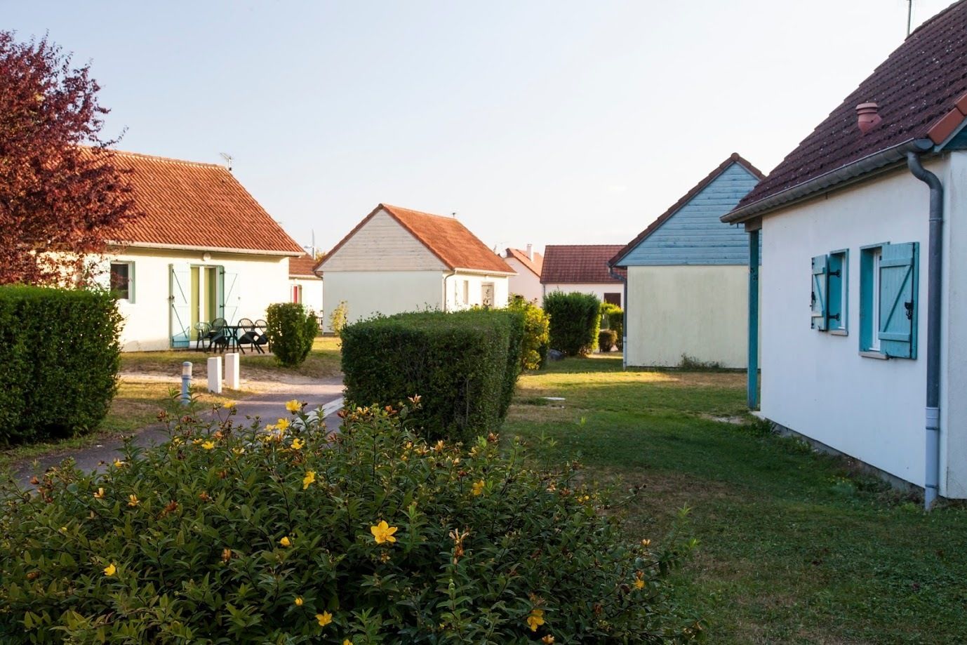 Une rangée de maisons de plain-pied, avec une pelouse bien entretenue et des parterres de fleurs devant.