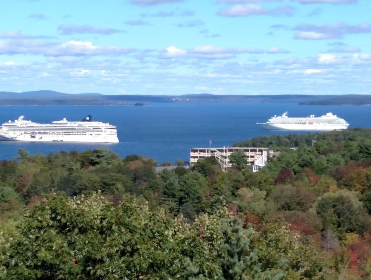 Dos cruceros en un mar tranquilo, con una costa arbolada y un edificio en primer plano.