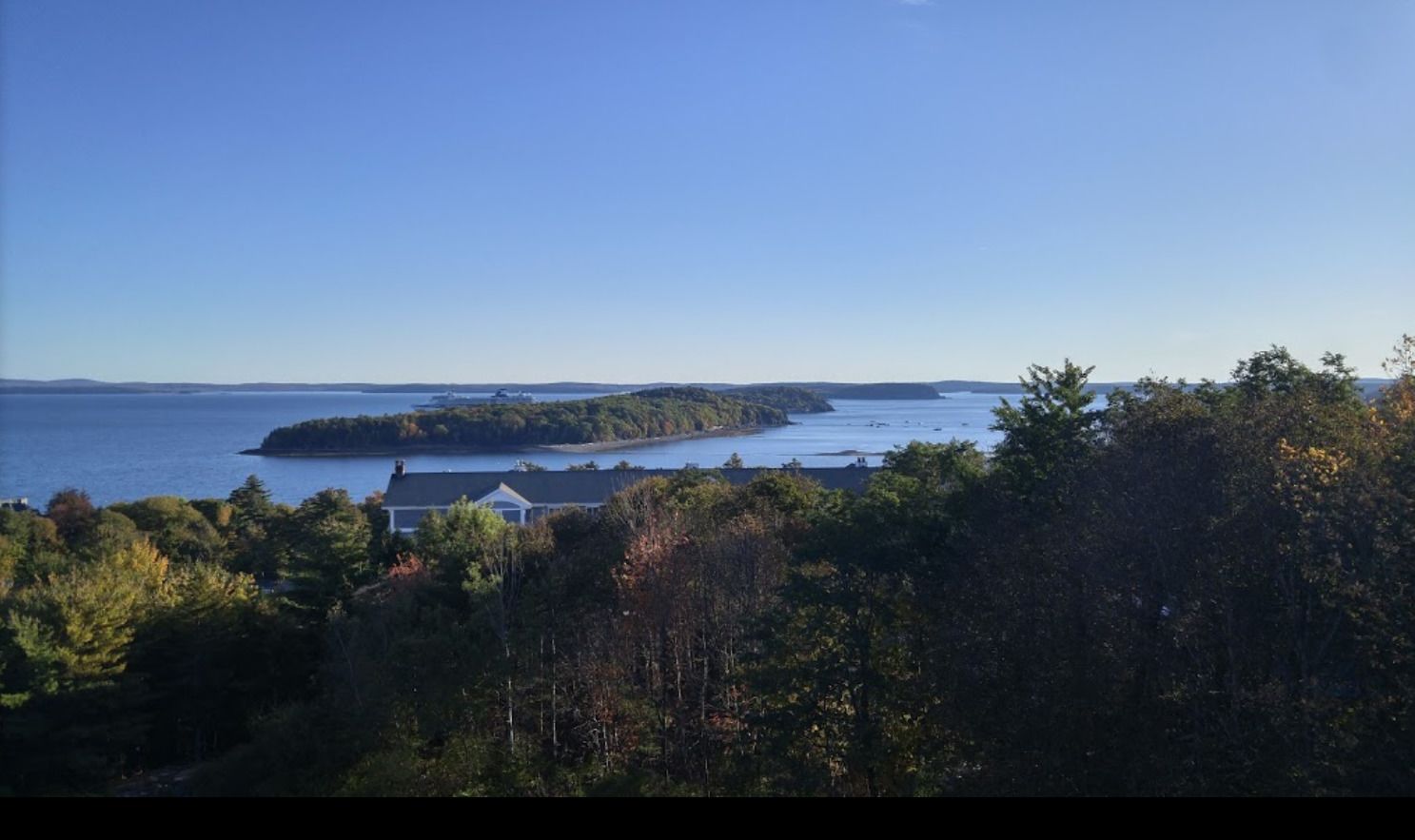 A coastal landscape with a house surrounded by dense forest.