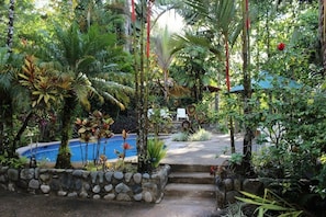A lush garden with a swimming pool, stone steps, and various tropical plants.
