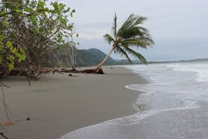 Kolam renang terbuka 