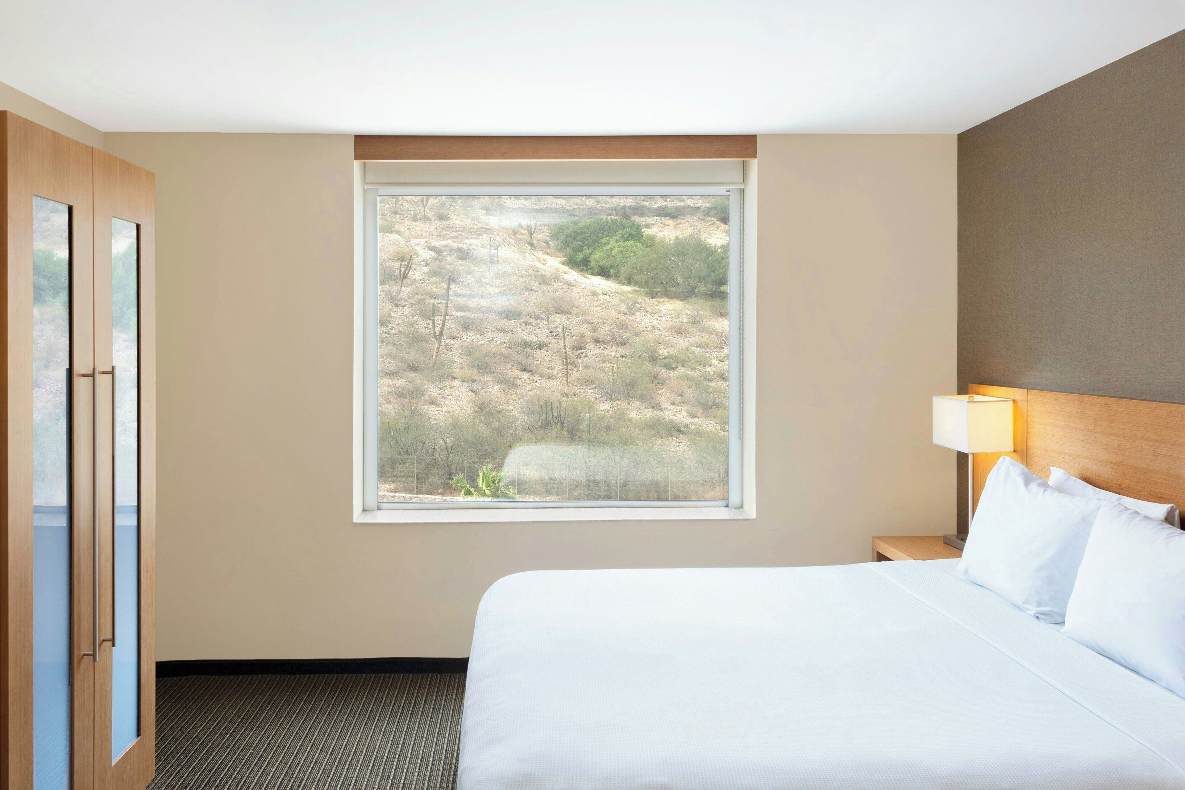 A hotel room with a bed, a window with a view of a dry landscape, a nightstand with a lamp, and a wardrobe.