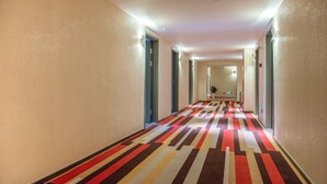 Ein Hotelgang mit farbigem Teppich, Türen auf beiden Seiten und einer Pflanze im Hintergrund.