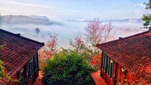 View from room - Osaka Village Dalat Resort (Da Lat)