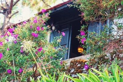 Osaka Village Dalat Resort