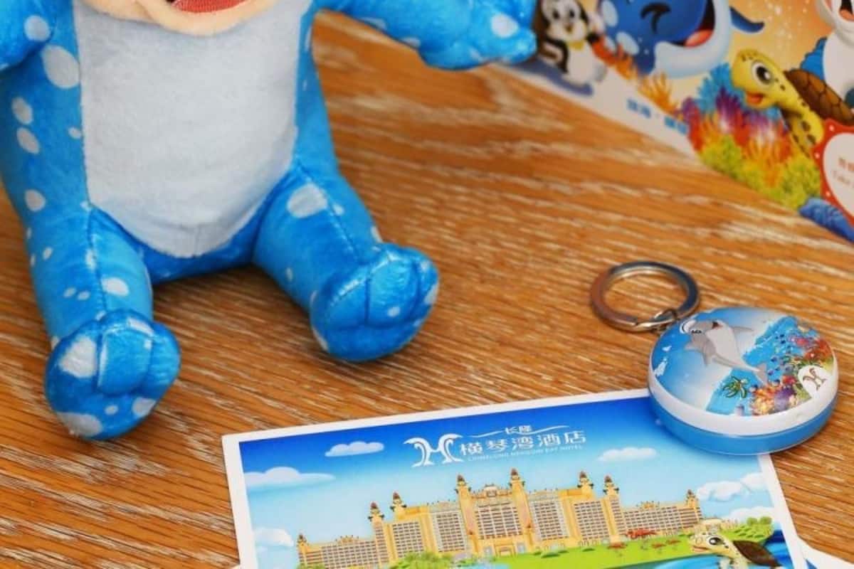 Un jouet en peluche, un porte-clés avec un dauphin et une brochure d’hôtel.