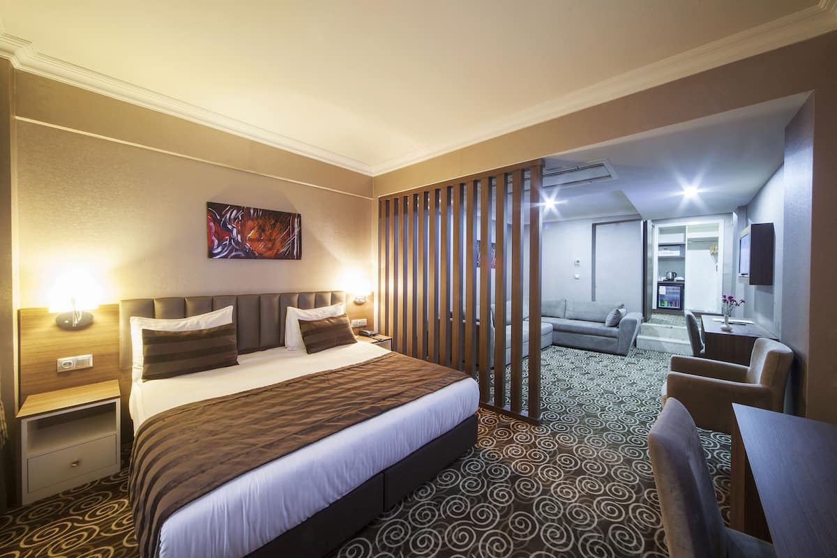 Habitación de hotel con una cama grande, un escritorio, una silla, un sofá y un televisor.