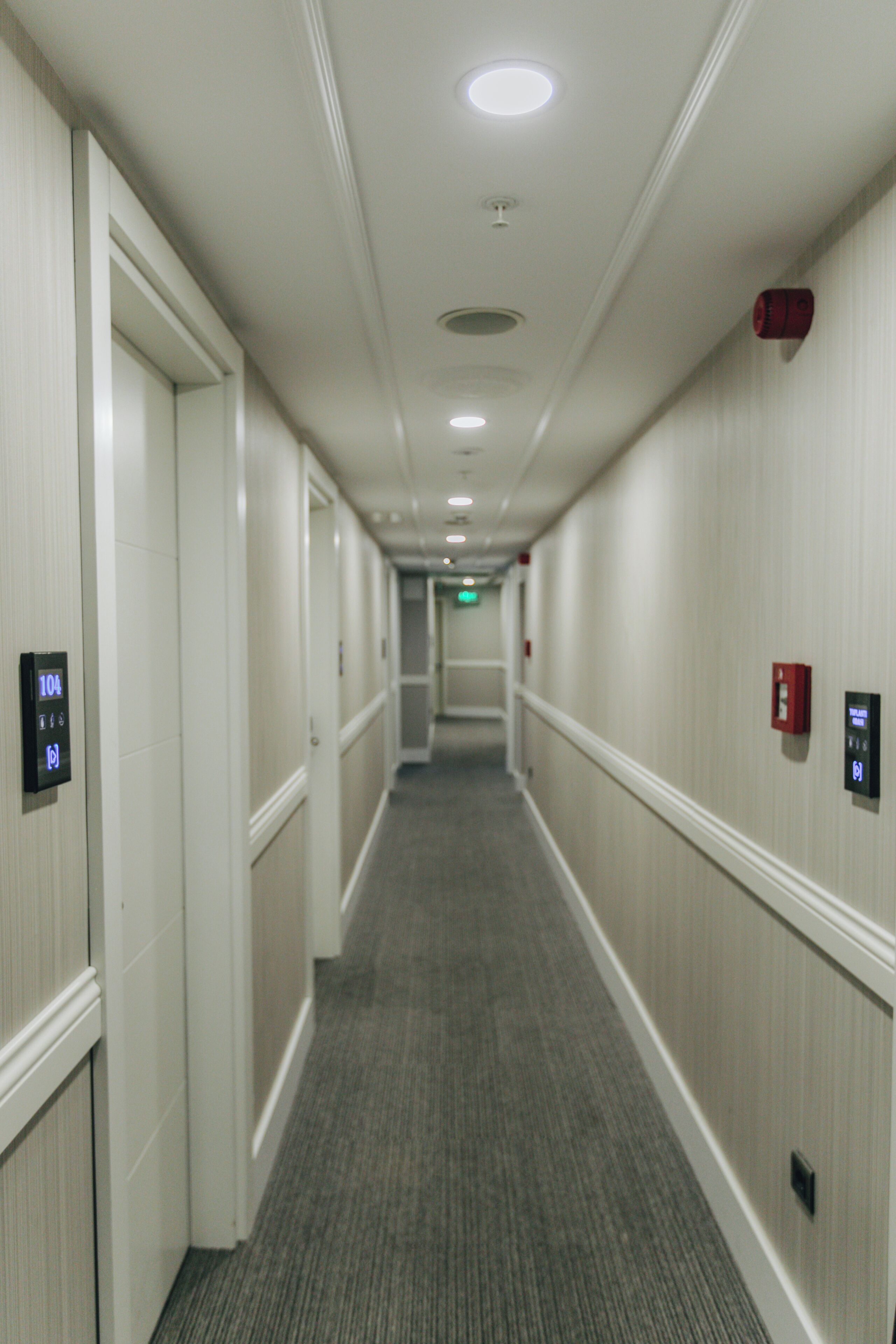 A hotel hallway with carpeted floors, white walls, and doors on both sides.