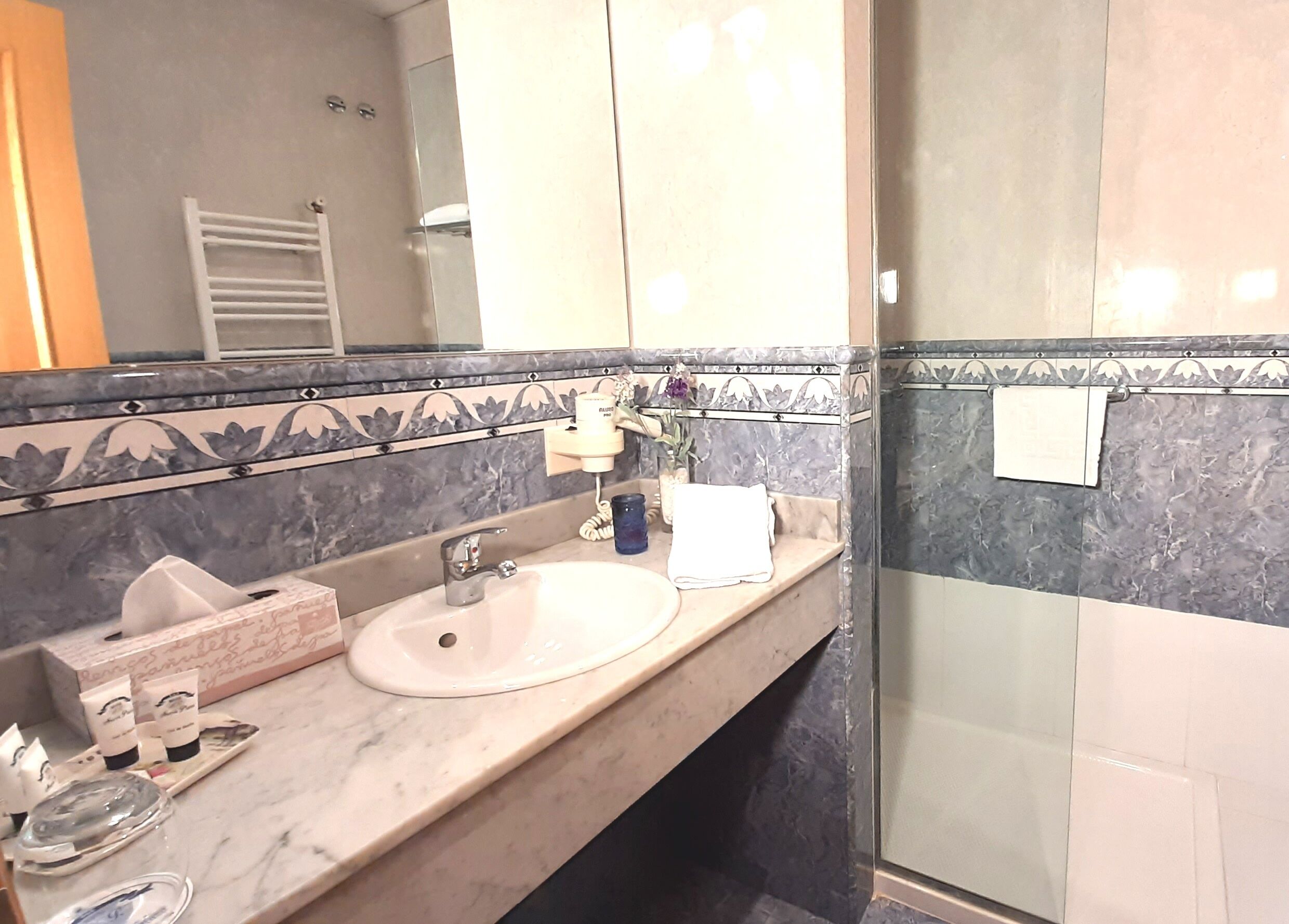 economy double room single use | bathroom | free toiletries, hair dryer, bidet, towels